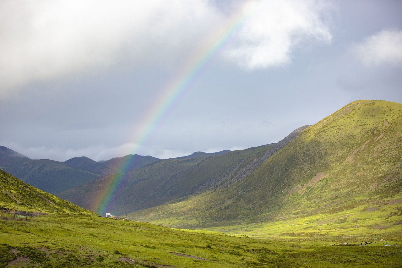 Designing a Beautiful Rainbow Garden